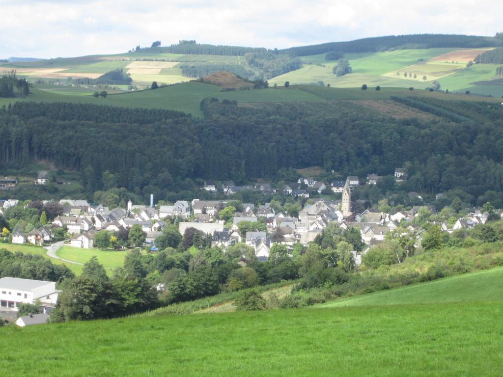 Pension-Gaestehaus Waldhof Winterberg Kültér fotó