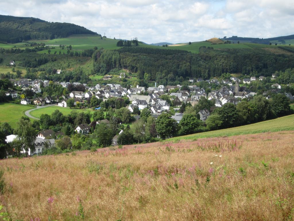 Pension-Gaestehaus Waldhof Winterberg Kültér fotó