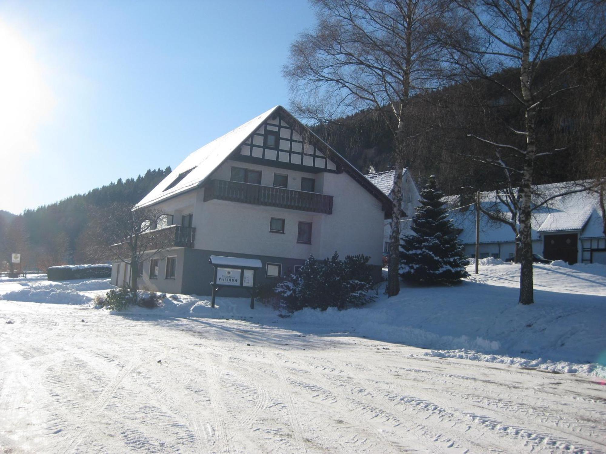 Pension-Gaestehaus Waldhof Winterberg Kültér fotó