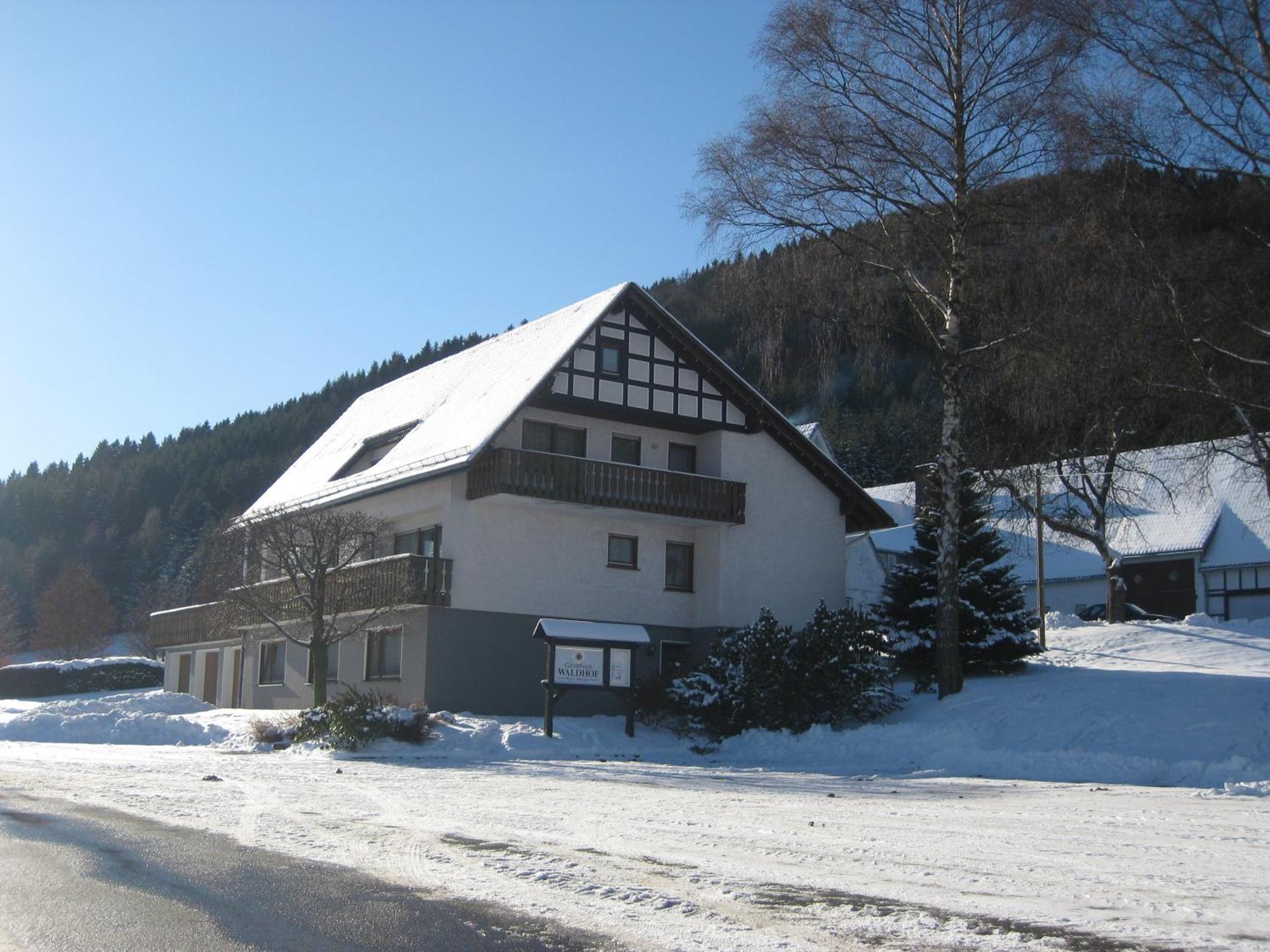 Pension-Gaestehaus Waldhof Winterberg Kültér fotó