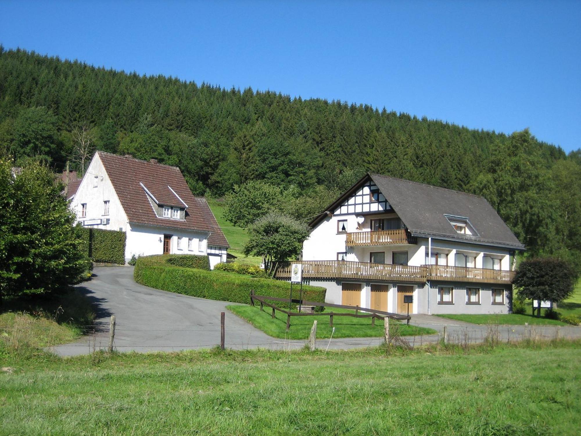 Pension-Gaestehaus Waldhof Winterberg Kültér fotó